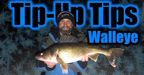 Tip Ups For Walleye | AnglingBuzz