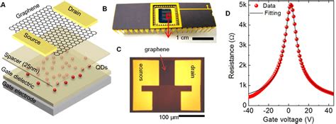 Graphene field-effect transistors integrated with QDs embedded in the... | Download Scientific ...