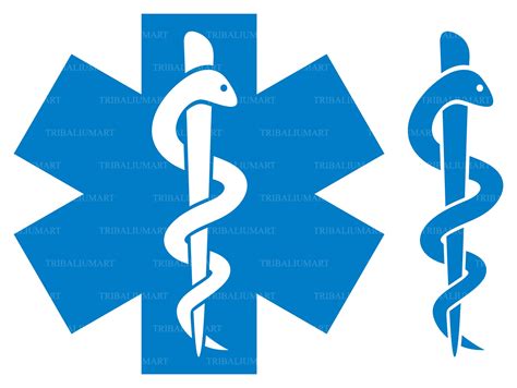 Medical Symbol Caduceus Snake With Stick emblem for - Etsy