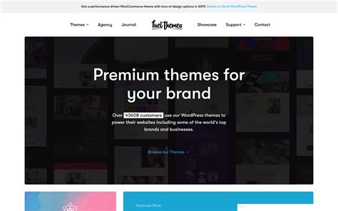 Premium Shopify Themes