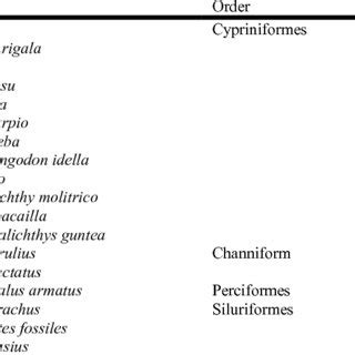 Systematic position of fish fauna of Mainpat waterfalls | Download Table