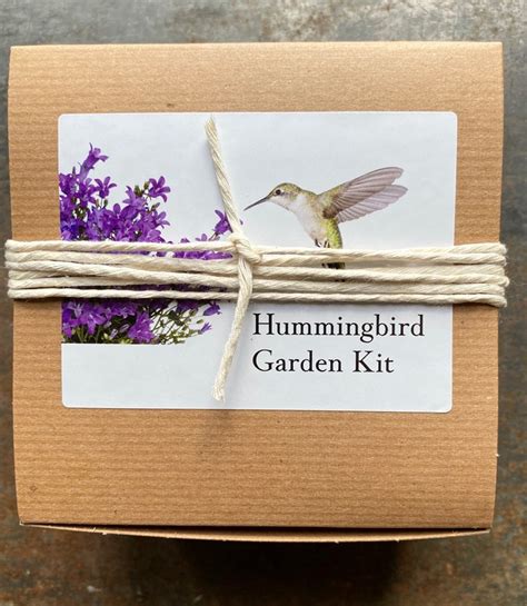 Hummingbird Garden Gift Box Kit | Plant Addicts