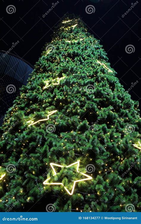 Christmas Tree Decorated with Star Lights and Colorful Lights Sparkling ...