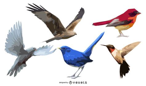 Set Of 5 Illustrated Birds - Vector Download