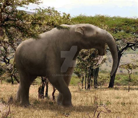 Deinotherium-giganteum by Leogon.deviantart.com on @DeviantArt | prehistoric Africa | Pinterest ...