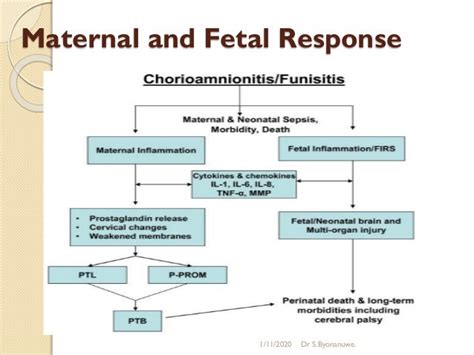 Chorioamnionitis Dr Simon Byonanuwe