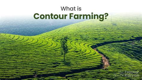 What is Contour Farming, Benefits & Importance