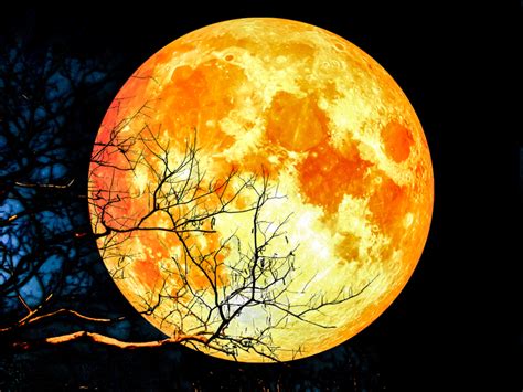 Blood Moon total lunar eclipse 2021: Is it true the full moon can ...