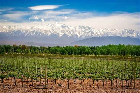 Mendoza Argentina: Regional Guide & Wineries To Visit • Winetraveler