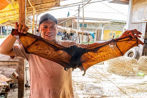 Bat Meat - Bushmeat at Meat Market