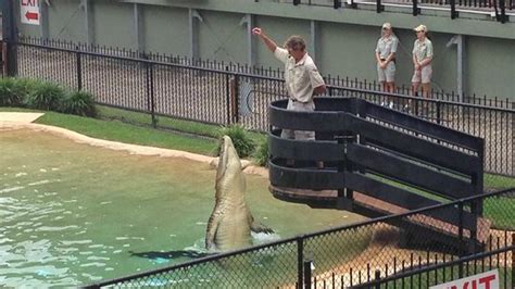 Wildlife warriors bird and crocodile show. - Picture of Australia Zoo, Beerwah - TripAdvisor