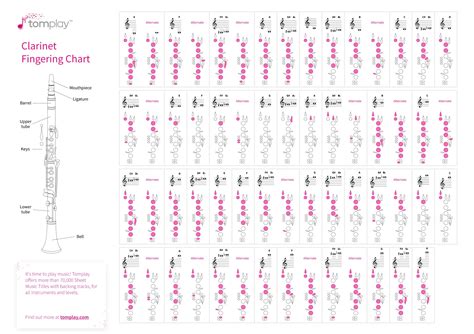 Printable Bass Clarinet Finger Chart