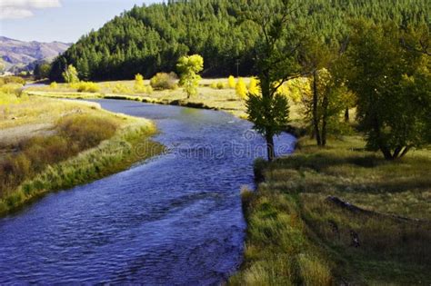 Clark Fork River, Montana stock image. Image of river - 132359417