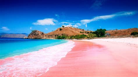 Pink Beach, Taman Nasional Komodo - Tur dan Panduan Wisata - Xelexi.com/id