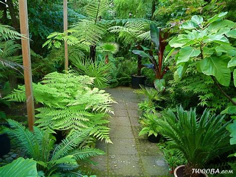 Pin by Cynthia Noreke on Ideas for the House | Tropical landscape design, Small tropical gardens ...