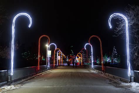 ZooLights | LiveWire Calgary