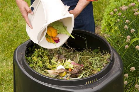 Preparing Compost for Kitchen Garden at Home: Beginners Guide