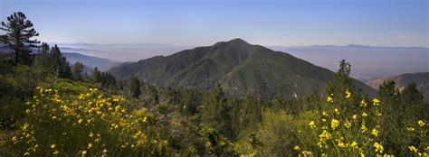 San Bernardino National Forest Ca 1920x707 - Breatheeasyins.com