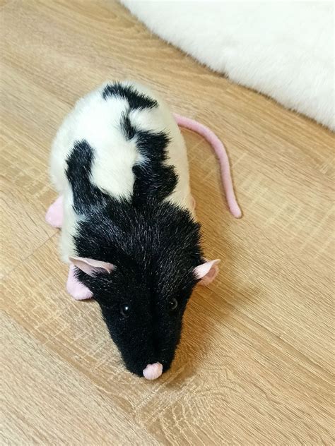 Stuffed rat Realistic rat plush | Etsy