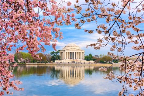 National Cherry Blossom Festival — American Classic Tours