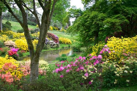 "Leonardslee Gardens, Horsham, West Sussex" by Mac Mcfarlane at PicturesofEngland.com