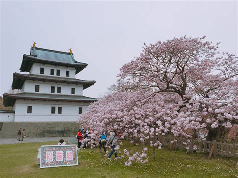 South Hokkaido for Cherry Blossoms ~ My World Trip... Japan