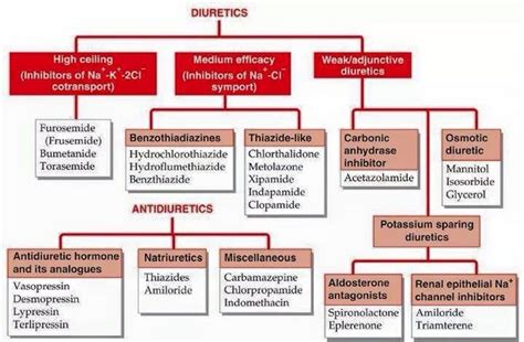 Diuretics | Pharmacology nursing, Pharmacology, Medical videos