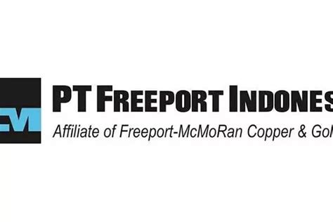 Berakhir Januari ini, PT Freeport Indonesia Membuka Lowongan Pekerjaan ...