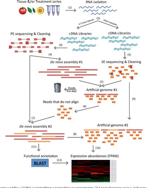 Figure 1 from Bioinformatics challenges in de novo transcriptome assembly using short read ...