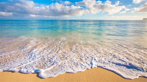 Photo Hawaii Ocean Nature Sand Waves Tropics Scenery Coast 1366x768