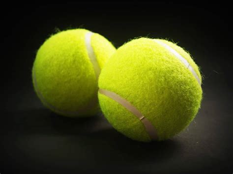 Best Tennis Balls 2018: Reviews & Buying Guide | Healthier Land