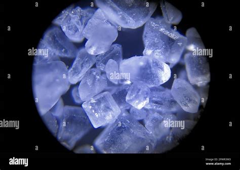 sugar crystals seen under an optical microscope Stock Photo - Alamy