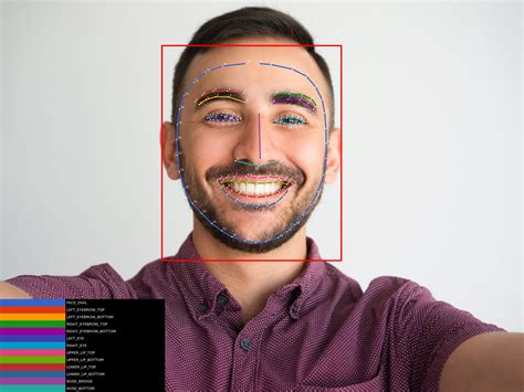 GitHub - codenashwan/FaceDetection: With ML Kit's face detection API ...