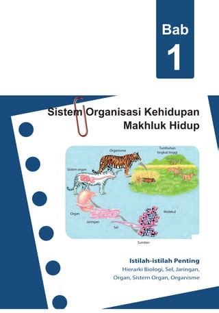 Bs ipa 7 genap organisasi kehidupan | PDF