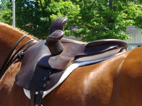 10 Different Types of Horse Riding Saddles | HowTheyPlay