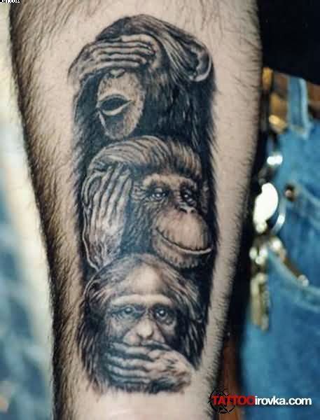 Three Wise Monkeys Tattoo On Forearm | Hình xăm, Hình xăm đẹp, Xăm