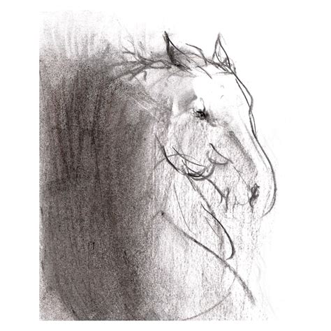 WP Charcoal 13 Horse's head charcoal drawing