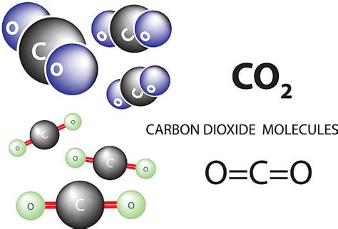 Best Carbon Dioxide Molecule Illustrations, Royalty-Free Vector Graphics & Clip Art - iStock