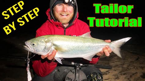 Tailor/Bluefish Tactics| How-to catch more fish! - YouTube