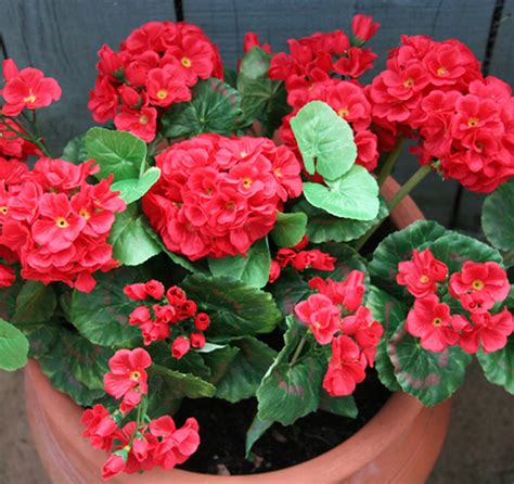 36cm Artificial Geranium Plant with Red Flowers - | Shelf Edge