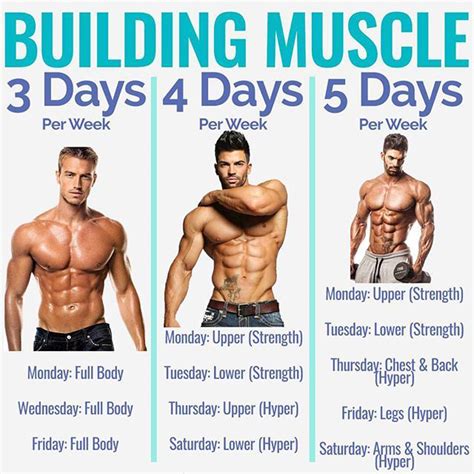 8 Powerful Muscle Building Gym Training Splits | Fitness Workouts ...