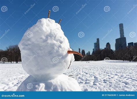 Snowman Face on the Sheep Meadow at Central Park in New York City ...