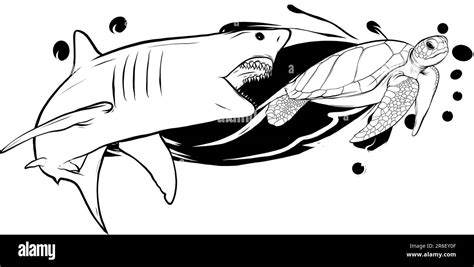 monochrome shark attack sea turtle vector illustration Stock Vector Image & Art - Alamy