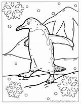 38 Penguin Coloring Pages Free PDF Printables sketch template