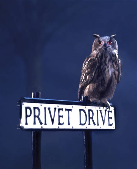 Privet Drive | Harry Potter Wiki | FANDOM powered by Wikia