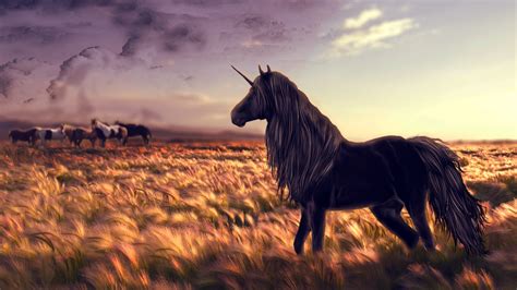 Free Unicorn Wallpaper 1366x768 - WallpaperSafari