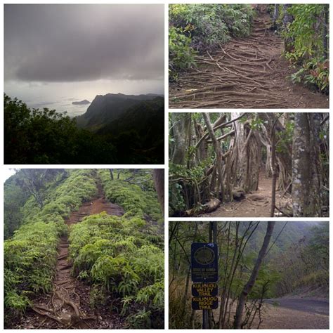 Kuli'ou'ou Valley Trail. Kalaau Pl, Oahu Hawaii | Hawaii hikes, Oahu, Oahu hawaii