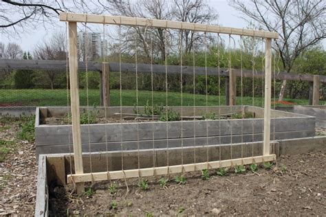 Pea trellis, Vegetable garden trellis, Veggie garden