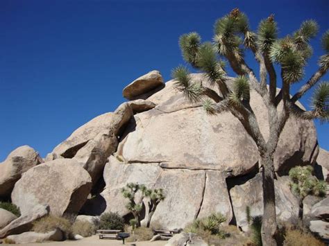 Cap Rock, Joshua Tree National Park | Joshua tree national park ...