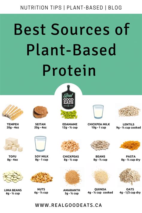 Best Sources of Plant-Based Protein